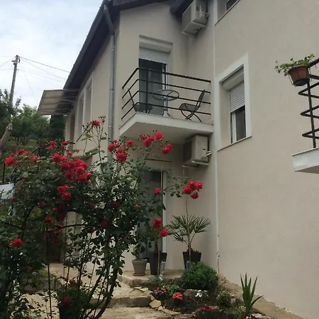 Biro Apartament Zalakaros